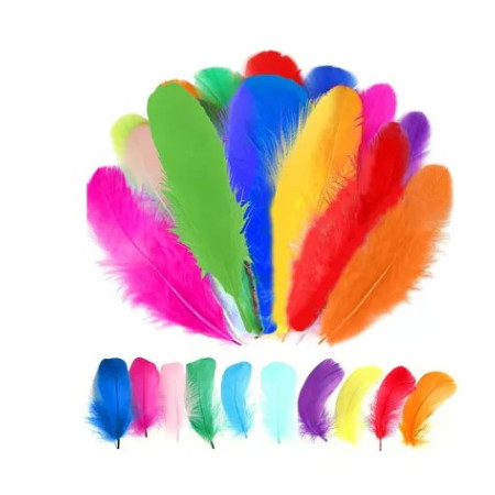 Plumas De Colores