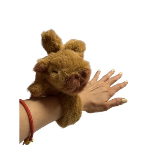 Pulseras Capibara De Cuerda Y Musical