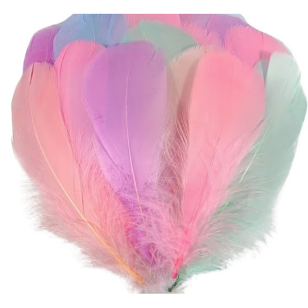 Bolsita De Plumas Multicolor 12Cm