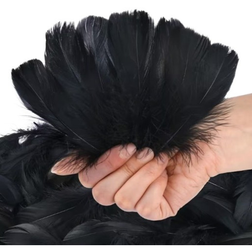Bolsita De Plumas Negras 12Cm